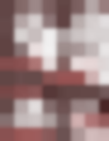 293